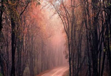 股票开户资金账户是什么意思:网上配资的平台-9月2日港股收盘：恒指跌0.47% 中芯国际领跌成分股